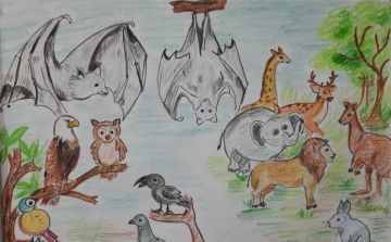 Na Idher Ke Na udher Ke ( ना इधर के   ना उधर के )