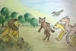 Oont, Lomadi Aur Kauwa